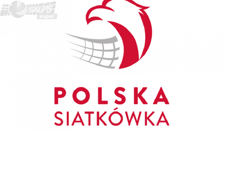 polska siatkówka